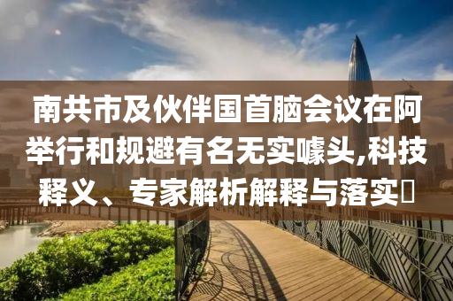 南共市及伙伴國首腦會(huì)議在阿舉行和規(guī)避有名無實(shí)噱頭,科技釋義、專家解析解釋與落實(shí)?