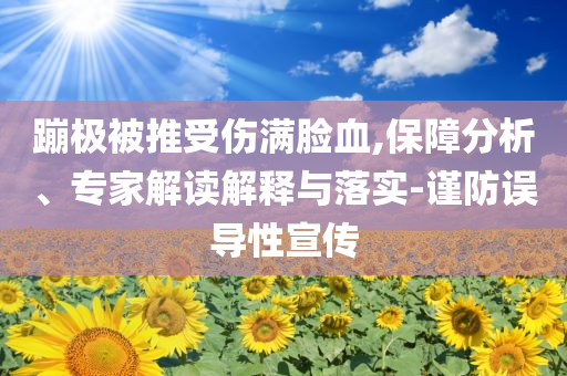 蹦極被推受傷滿臉血,保障分析、專家解讀解釋與落實(shí)-謹(jǐn)防誤導(dǎo)性宣傳
