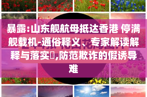 暴露:山東艦航母抵達(dá)香港 停滿艦載機(jī)-通俗釋義、專家解讀解釋與落實(shí)?,防范欺詐的假誘導(dǎo)難