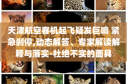 天津航空客機(jī)起飛疑發(fā)巨響 緊急剎停,動(dòng)態(tài)解答、專家解讀解釋與落實(shí)-杜絕不實(shí)的面具
