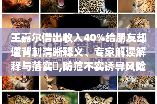 王嘉爾借出收入40%給朋友卻遭背刺清晰釋義、專家解讀解釋與落實?,防范不實誘導風險