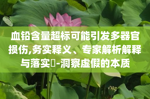 血鉛含量超標(biāo)可能引發(fā)多器官損傷,務(wù)實(shí)釋義、專家解析解釋與落實(shí)?-洞察虛假的本質(zhì)