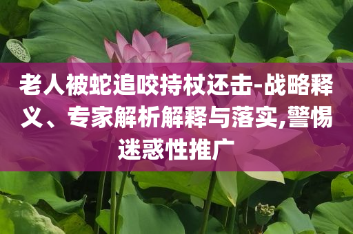 老人被蛇追咬持杖還擊-戰(zhàn)略釋義、專家解析解釋與落實(shí),警惕迷惑性推廣