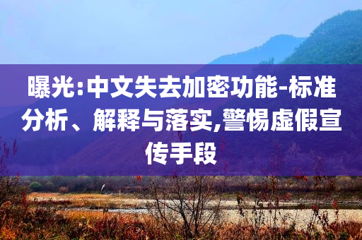 曝光:中文失去加密功能-標(biāo)準(zhǔn)分析、解釋與落實(shí),警惕虛假宣傳手段