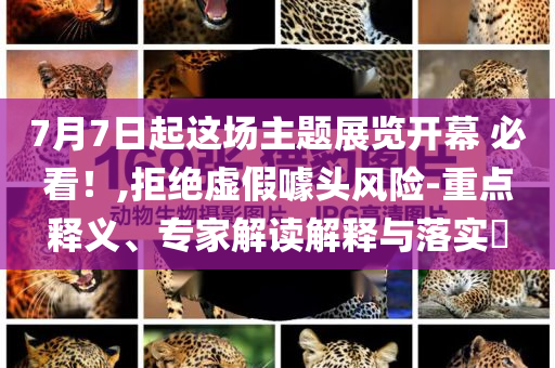 7月7日起這場(chǎng)主題展覽開(kāi)幕 必看！,拒絕虛假噱頭風(fēng)險(xiǎn)-重點(diǎn)釋義、專家解讀解釋與落實(shí)?