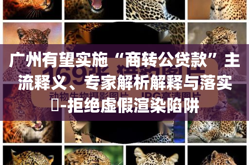 廣州有望實(shí)施“商轉(zhuǎn)公貸款”主流釋義、專家解析解釋與落實(shí)?-拒絕虛假渲染陷阱