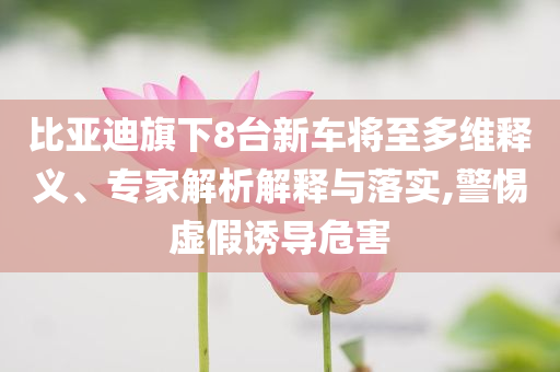 比亞迪旗下8臺(tái)新車將至多維釋義、專家解析解釋與落實(shí),警惕虛假誘導(dǎo)危害