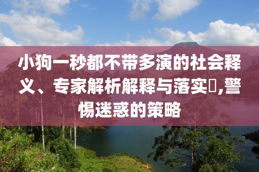 小狗一秒都不帶多演的社會釋義、專家解析解釋與落實(shí)?,警惕迷惑的策略