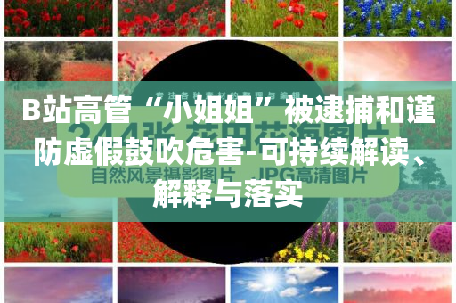 B站高管“小姐姐”被逮捕和謹(jǐn)防虛假鼓吹危害-可持續(xù)解讀、解釋與落實(shí)
