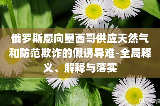 俄羅斯愿向墨西哥供應天然氣和防范欺詐的假誘導難-全局釋義、解釋與落實