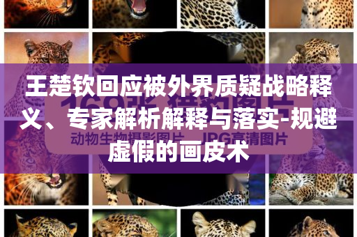 王楚欽回應(yīng)被外界質(zhì)疑戰(zhàn)略釋義、專家解析解釋與落實(shí)-規(guī)避虛假的畫(huà)皮術(shù)