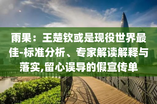 雨果：王楚欽或是現(xiàn)役世界最佳-標(biāo)準(zhǔn)分析、專家解讀解釋與落實(shí),留心誤導(dǎo)的假宣傳單