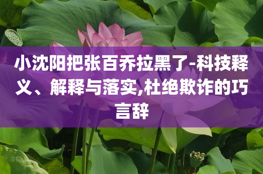小沈陽(yáng)把張百喬拉黑了-科技釋義、解釋與落實(shí),杜絕欺詐的巧言辭