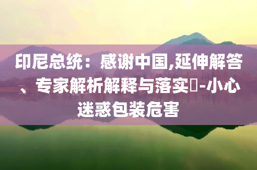印尼總統(tǒng)：感謝中國,延伸解答、專家解析解釋與落實?-小心迷惑包裝危害