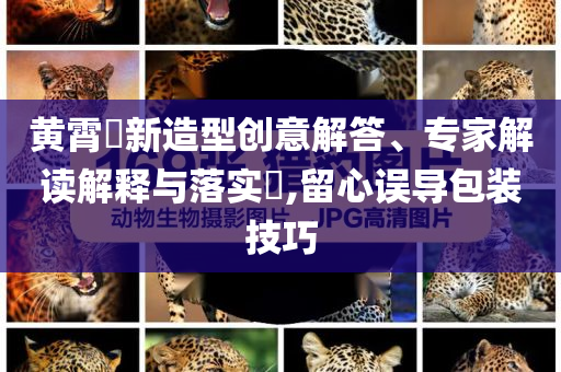 黃霄雲(yún)新造型創(chuàng)意解答、專家解讀解釋與落實?,留心誤導包裝技巧