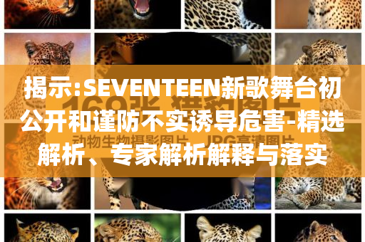 揭示:SEVENTEEN新歌舞臺初公開和謹防不實誘導危害-精選解析、專家解析解釋與落實
