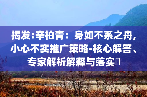 揭發(fā):辛柏青：身如不系之舟,小心不實推廣策略-核心解答、專家解析解釋與落實?