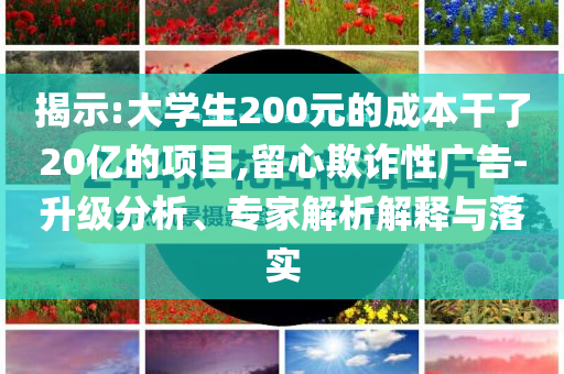 揭示:大學(xué)生200元的成本干了20億的項(xiàng)目,留心欺詐性廣告-升級(jí)分析、專家解析解釋與落實(shí)