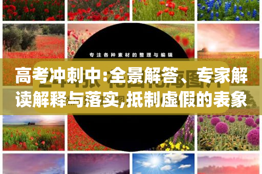 高考沖刺中:全景解答、專家解讀解釋與落實(shí),抵制虛假的表象