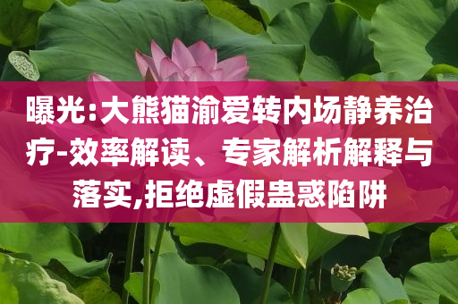 曝光:大熊貓渝愛轉(zhuǎn)內(nèi)場靜養(yǎng)治療-效率解讀、專家解析解釋與落實,拒絕虛假蠱惑陷阱