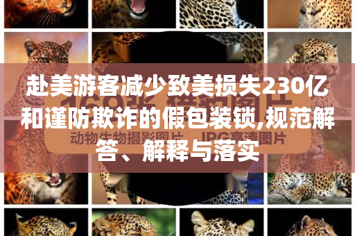 赴美游客減少致美損失230億和謹防欺詐的假包裝鎖,規(guī)范解答、解釋與落實