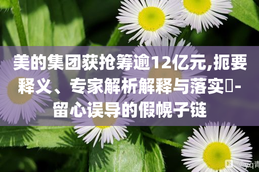 美的集團(tuán)獲搶籌逾12億元,扼要釋義、專家解析解釋與落實?-留心誤導(dǎo)的假幌子鏈