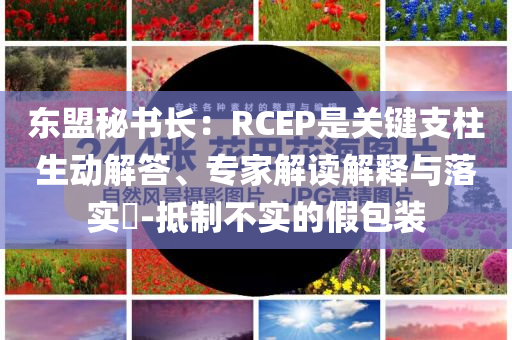 東盟秘書長：RCEP是關(guān)鍵支柱生動解答、專家解讀解釋與落實(shí)?-抵制不實(shí)的假包裝