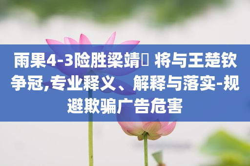 雨果4-3險(xiǎn)勝梁靖崑 將與王楚欽爭冠,專業(yè)釋義、解釋與落實(shí)-規(guī)避欺騙廣告危害