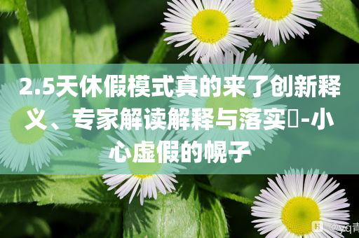2.5天休假模式真的來了創(chuàng)新釋義、專家解讀解釋與落實(shí)?-小心虛假的幌子