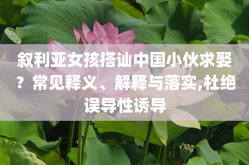 敘利亞女孩搭訕中國小伙求娶？常見釋義、解釋與落實(shí),杜絕誤導(dǎo)性誘導(dǎo)