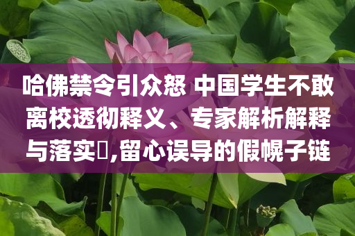 哈佛禁令引眾怒 中國學(xué)生不敢離校透徹釋義、專家解析解釋與落實(shí)?,留心誤導(dǎo)的假幌子鏈