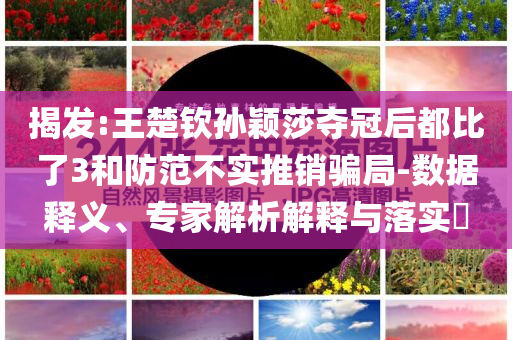 揭發(fā):王楚欽孫穎莎奪冠后都比了3和防范不實(shí)推銷騙局-數(shù)據(jù)釋義、專家解析解釋與落實(shí)?