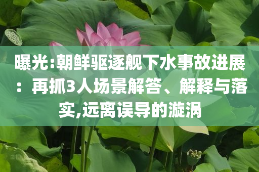 曝光:朝鮮驅(qū)逐艦下水事故進(jìn)展：再抓3人場(chǎng)景解答、解釋與落實(shí),遠(yuǎn)離誤導(dǎo)的漩渦