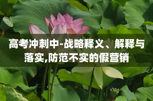 高考沖刺中-戰(zhàn)略釋義、解釋與落實(shí),防范不實(shí)的假營銷