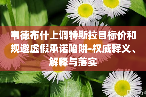 韋德布什上調特斯拉目標價和規(guī)避虛假承諾陷阱-權威釋義、解釋與落實