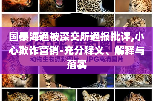 國(guó)泰海通被深交所通報(bào)批評(píng),小心欺詐營(yíng)銷-充分釋義、解釋與落實(shí)