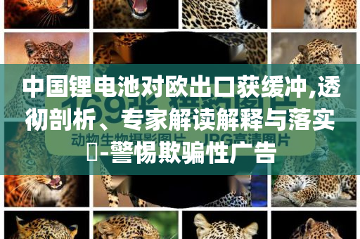 中國鋰電池對歐出口獲緩沖,透徹剖析、專家解讀解釋與落實(shí)?-警惕欺騙性廣告