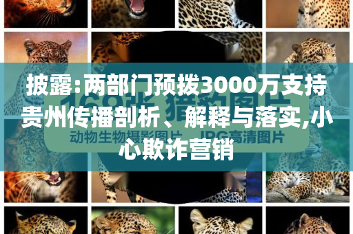 披露:兩部門預(yù)撥3000萬支持貴州傳播剖析、解釋與落實(shí),小心欺詐營銷