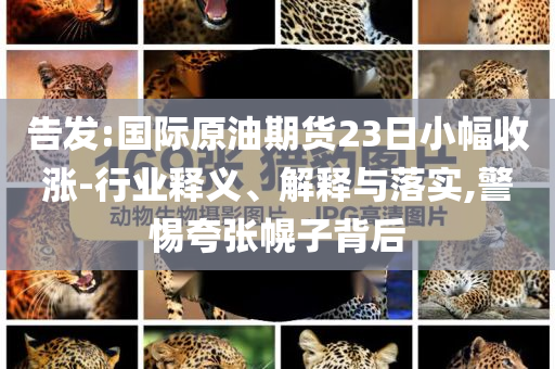 告發(fā):國際原油期貨23日小幅收漲-行業(yè)釋義、解釋與落實,警惕夸張幌子背后