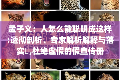 孟子義：人怎么能聰明成這樣:透徹剖析、專家解析解釋與落實?,杜絕虛假的假宣傳冊