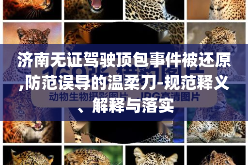 濟(jì)南無證駕駛頂包事件被還原,防范誤導(dǎo)的溫柔刀-規(guī)范釋義、解釋與落實