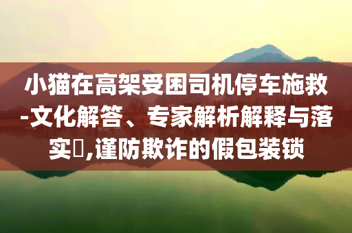 小貓在高架受困司機停車施救-文化解答、專家解析解釋與落實?,謹防欺詐的假包裝鎖