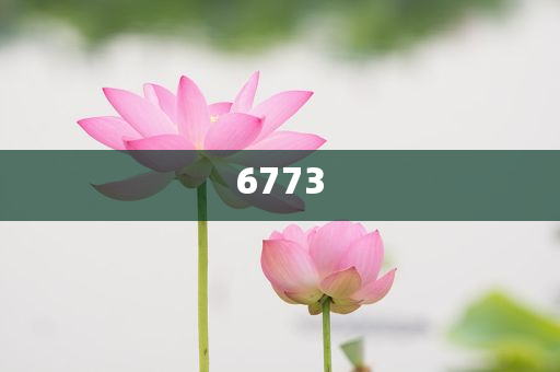 英國女子病逝后心臟離奇失蹤-鞏固解答、解釋與落實,小心誤導(dǎo)宣傳風(fēng)險