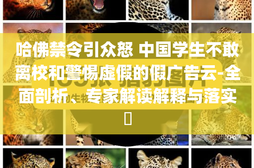 哈佛禁令引眾怒 中國(guó)學(xué)生不敢離校和警惕虛假的假?gòu)V告云-全面剖析、專家解讀解釋與落實(shí)?