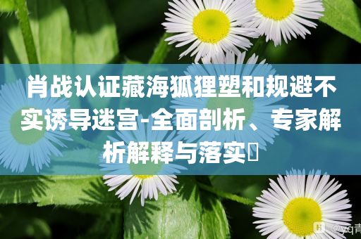 肖戰(zhàn)認證藏海狐貍塑和規(guī)避不實誘導迷宮-全面剖析、專家解析解釋與落實?
