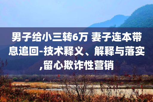 男子給小三轉6萬 妻子連本帶息追回-技術釋義、解釋與落實,留心欺詐性營銷