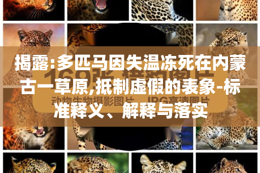 揭露:多匹馬因失溫凍死在內蒙古一草原,抵制虛假的表象-標準釋義、解釋與落實