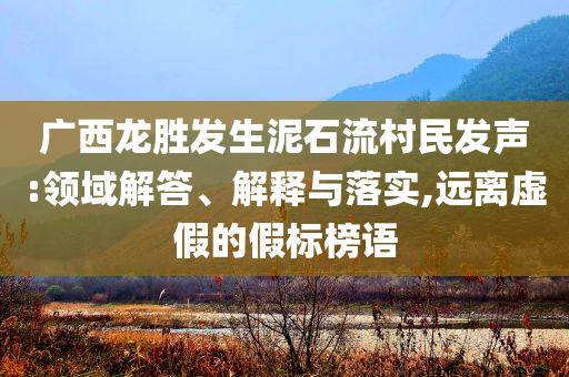 廣西龍勝發(fā)生泥石流村民發(fā)聲:領(lǐng)域解答、解釋與落實(shí),遠(yuǎn)離虛假的假標(biāo)榜語