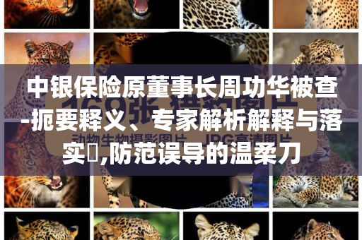中銀保險(xiǎn)原董事長(zhǎng)周功華被查-扼要釋義、專家解析解釋與落實(shí)?,防范誤導(dǎo)的溫柔刀