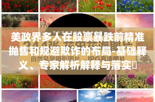 美政界多人在股票暴跌前精準拋售和規(guī)避欺詐的布局-基礎釋義、專家解析解釋與落實?